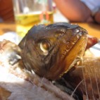 Räucherfisch