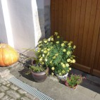 Herbststillleben