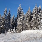 Winterwunderwald am Rennsteig
