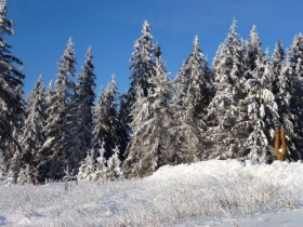 Winterwunderwald am Rennsteig
