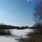 im Hintergrund die Halde