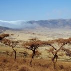 Und plötzlich gibt der Nebel den Blick auf den Ngorogoro-Krater frei.