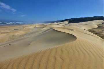Port Elizabeth, Island Nature Reserve