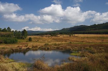 Mlilwane-Nature Reserve