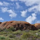 Das Gestein rund um den Mount Chudalup ist mehr als eine Milliarde Jahre als. Durch die hohe Feuchtigkeit hat sich Moos gebildet, das den Granit farbenprächtig umhüllt.