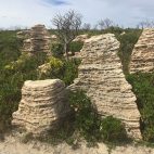 Die Kalksteine am Cape D'Entrecasteaux ähneln gestapelten Eierkuchen.