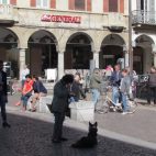 Piazza della Vittoria in Pavia