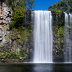 Immer wieder liegen mächtige Wasserfälle am Wegrand, hier der Danguar Wasserfall bei Dorrigo.