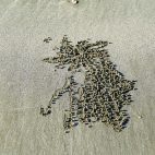 Die Wattwürmer zaubern bizarre Muster an den Strand.
