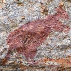 Die Felszeichnungen im Kakadu Nationalpark sind teilweise tausende Jahre alt.