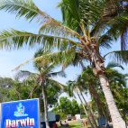 In Darwin gibt es einen Skiclub unter Palmen.