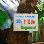 Feste Regenzeiten im Leipziger Zoo. Unsere Freunde auf der Farm in Windhoek würden sich freuen, wenn das dort auch so wäre.