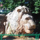 Von den legendären nordafrikanischen Berberlöwen ist nur noch ein Steindenkmal in Ifrane übrig.